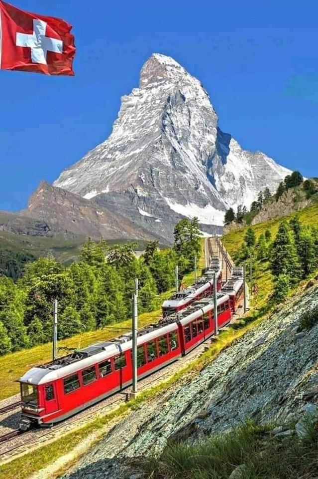 Appartamento Lion Bb Swiss Zurigo Esterno foto